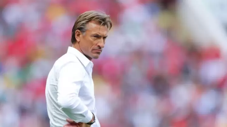 هيرفي رينارد