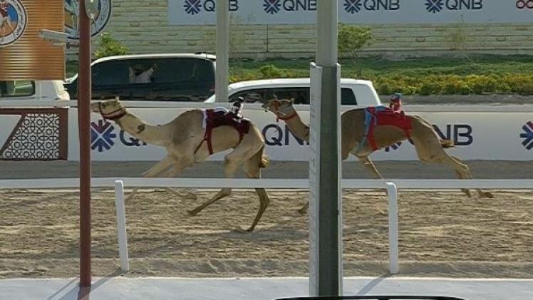 جانب من المنافسات