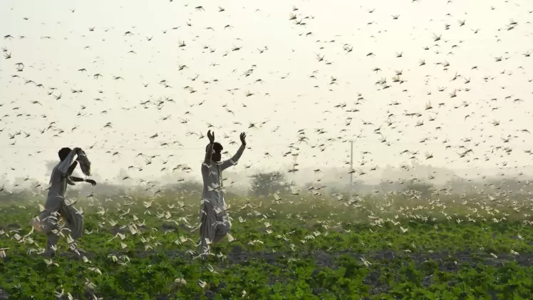 صورة تعبيرية