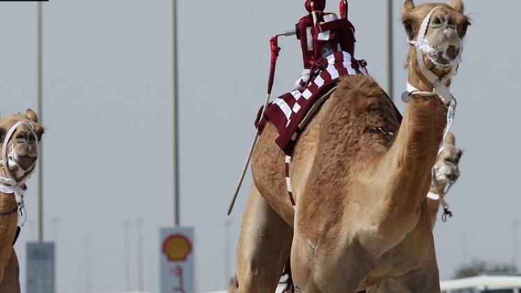 جانب من المنافسات