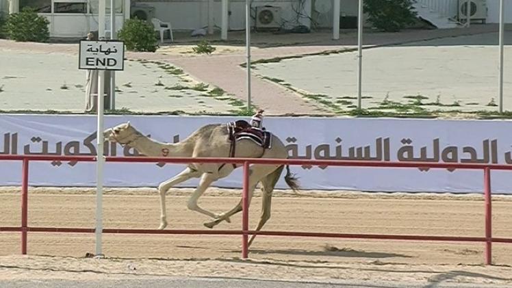 جانب من منافسات بطولة الكويت الدولية