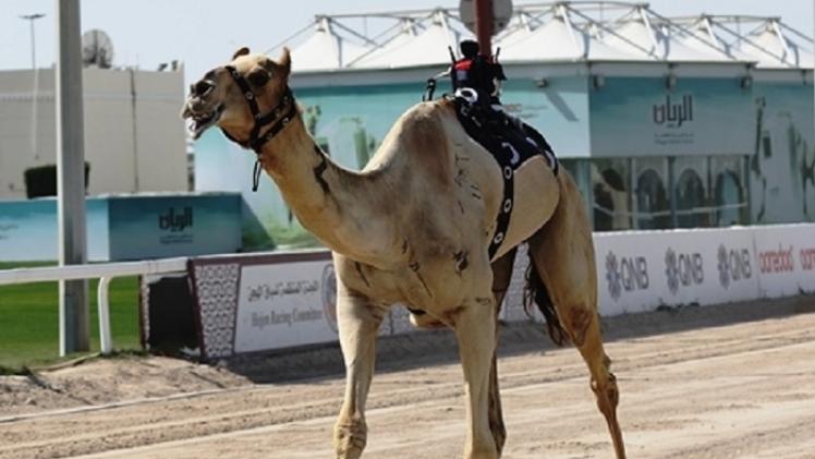 جانب من المنافسات