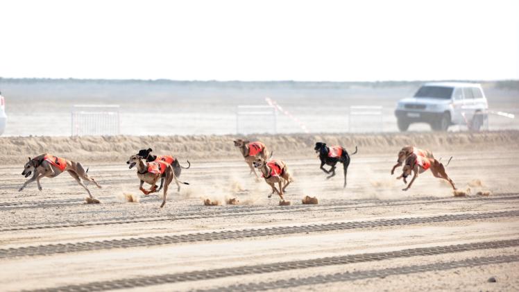 جانب من السباق - صورة أرشيفية