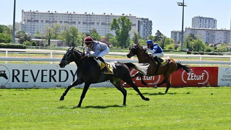 المهر "لوسيل" في المقدمة