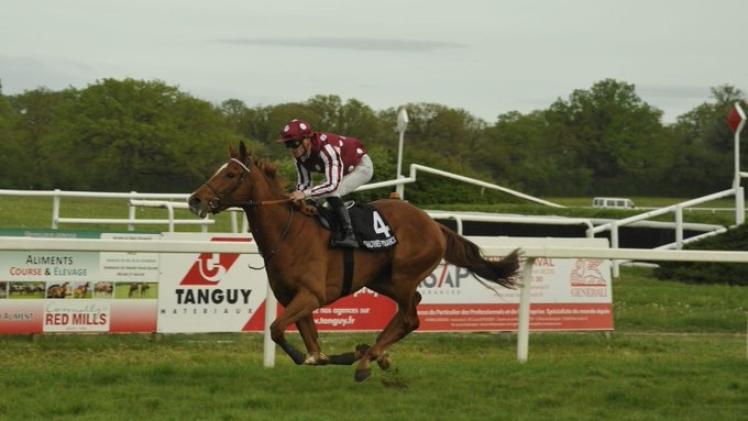 الجواد بيرل ففتين