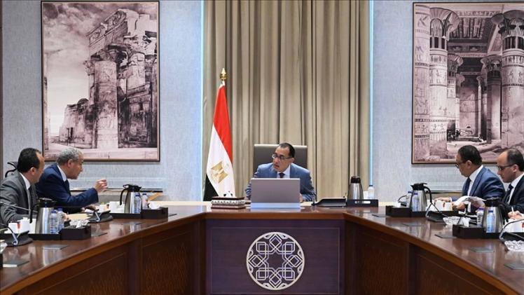 مجلس الوزراء المصري