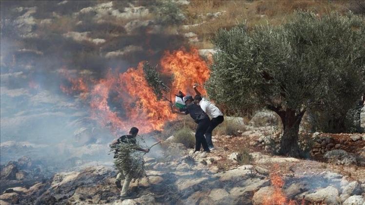 صورة أرشيفية