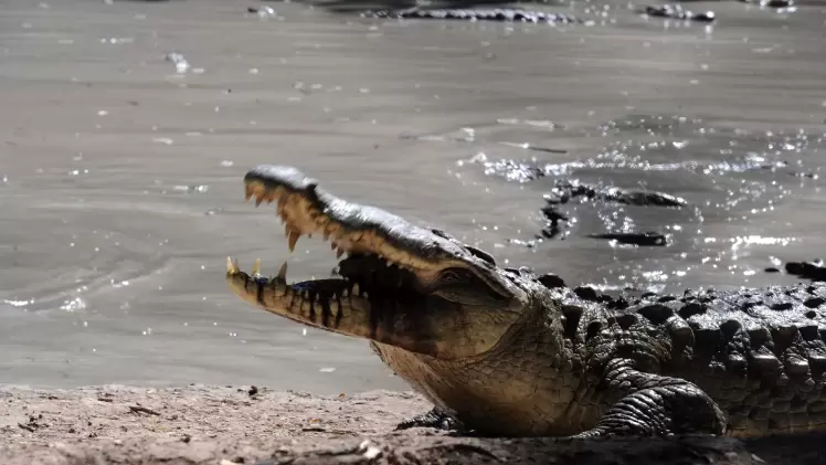 صورة تعبيرية