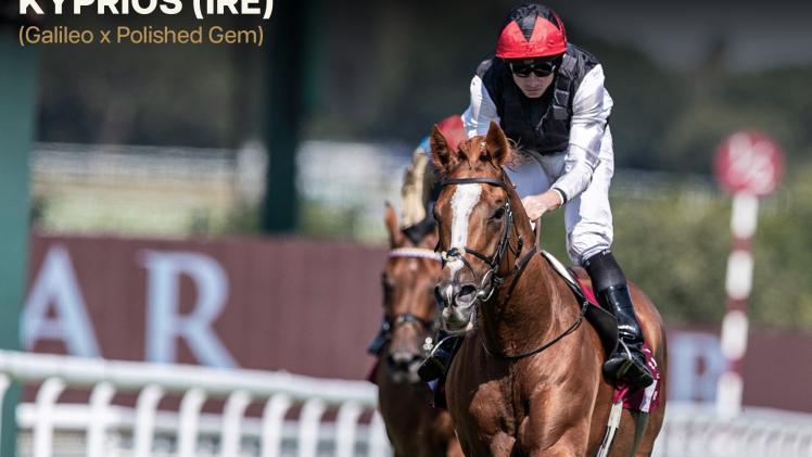 الجواد كيبريوس بقيادة الخيال راين مور