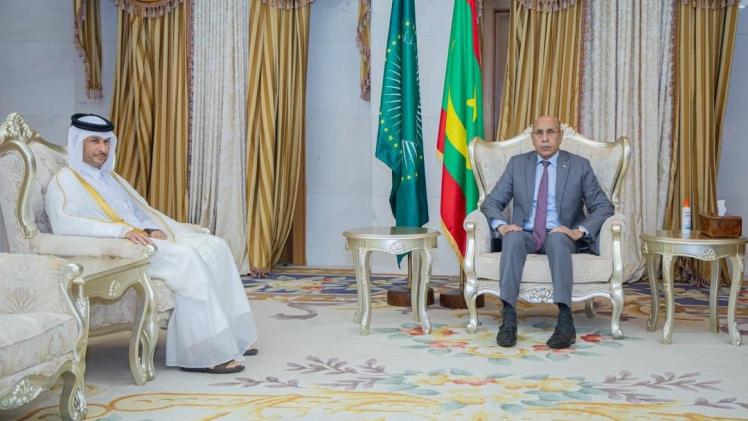 جانب من تسليم أوراق الاعتماد