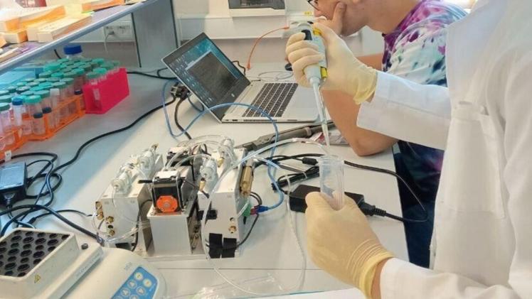 صورة أرشيفية