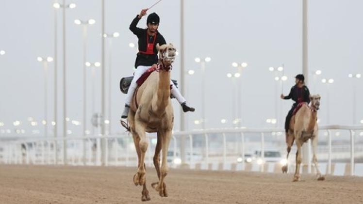 جانب من المنافسات