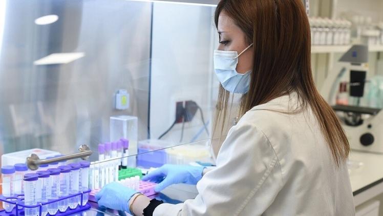 صورة أرشيفية