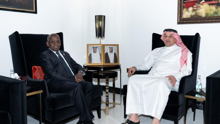 جانب من اللقاء