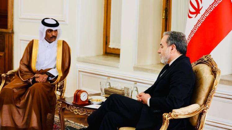 جانب من تسليم أوراق الاعتماد