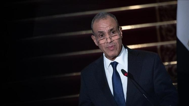 وزير الخارجية المصري بدر عبد العاطي