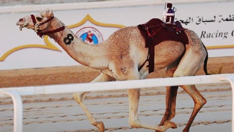 جانب من المنافسات