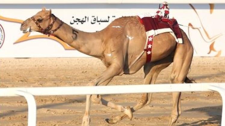 جانب من المنافسات