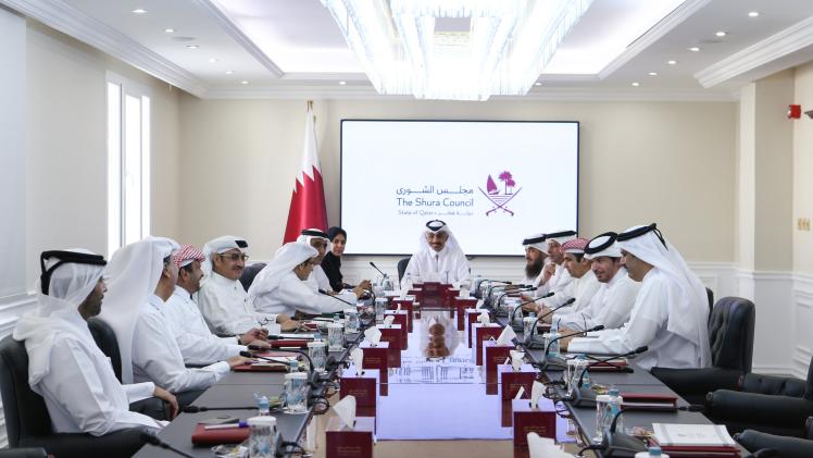 جانب من اجتماع اللجنة