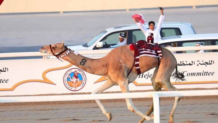 جانب من المنافسات