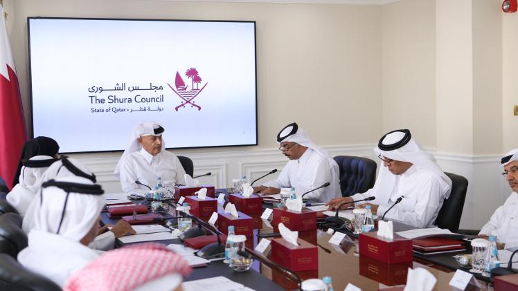 جانب من اجتماع اللجنة