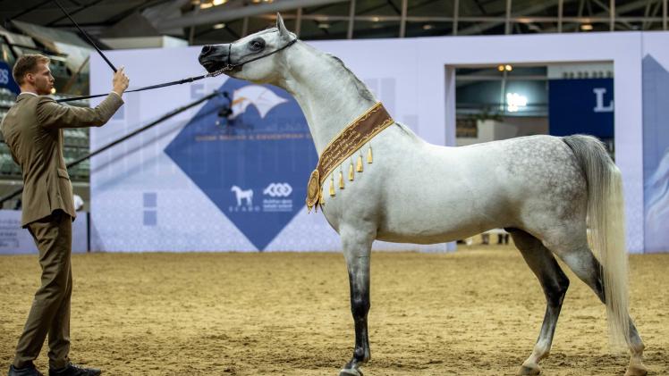 جانب من المنافسات