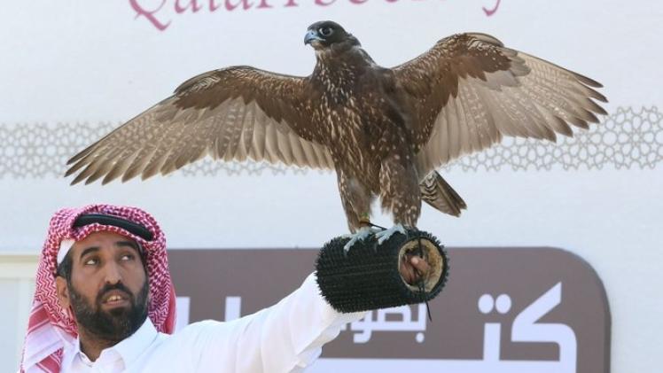 جانب من المنافسات