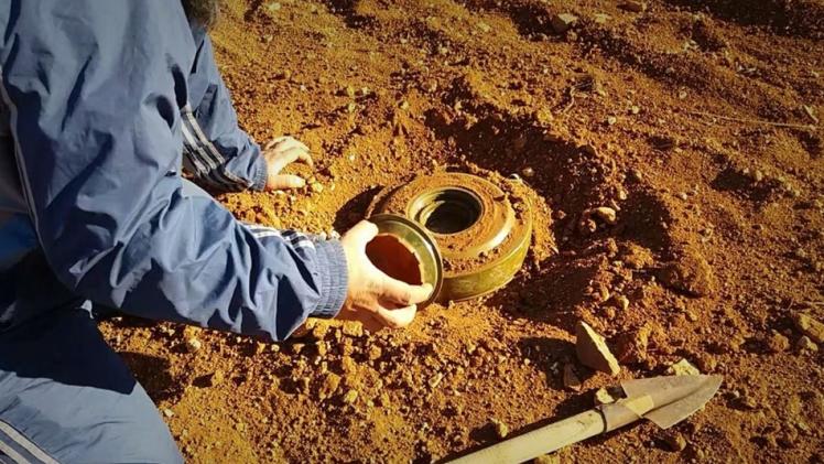 صورة أرشيفية