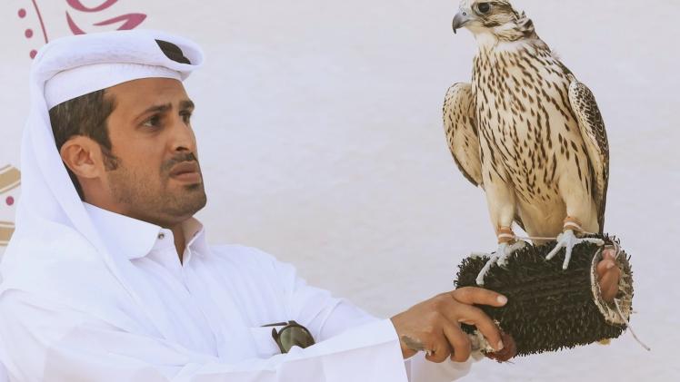 جانب من المنافسات