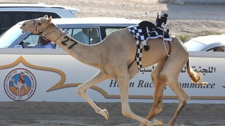 جانب من المنافسات