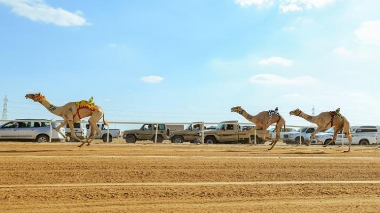 جانب من المنافسات