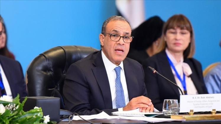 وزير الخارجية المصري بدر عبد العاطي
