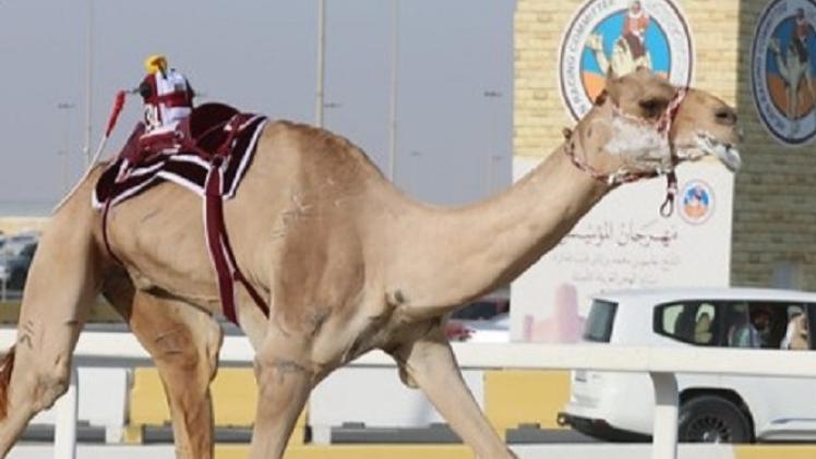 جانب من المنافسات