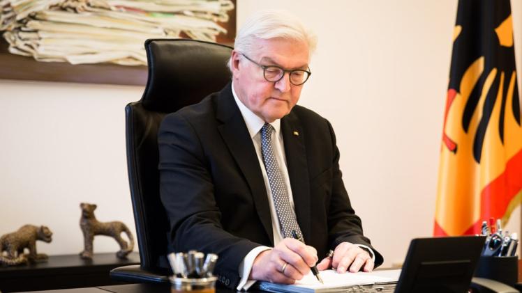 الرئيس الألماني فرانك فالتر شتاينماير