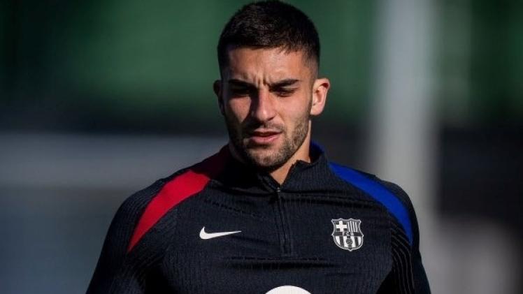 فيران توريس