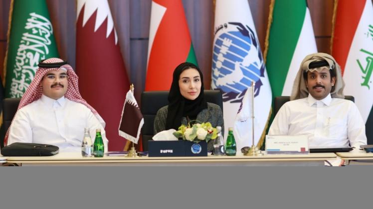 جانب من المشاركة القطرية بالورشة