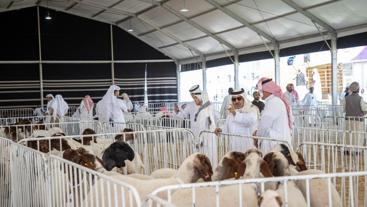 جانب من فعاليات المهرجان