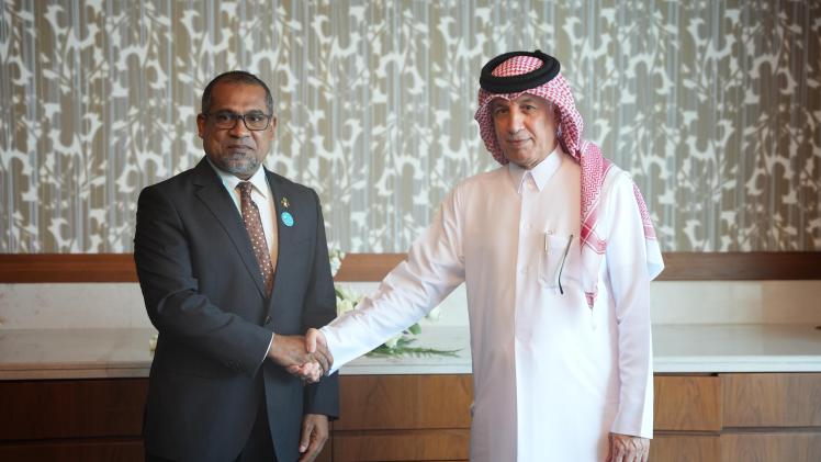 جانب من اللقاء