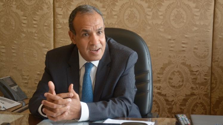 بدر عبدالعاطي وزير الخارجية المصري