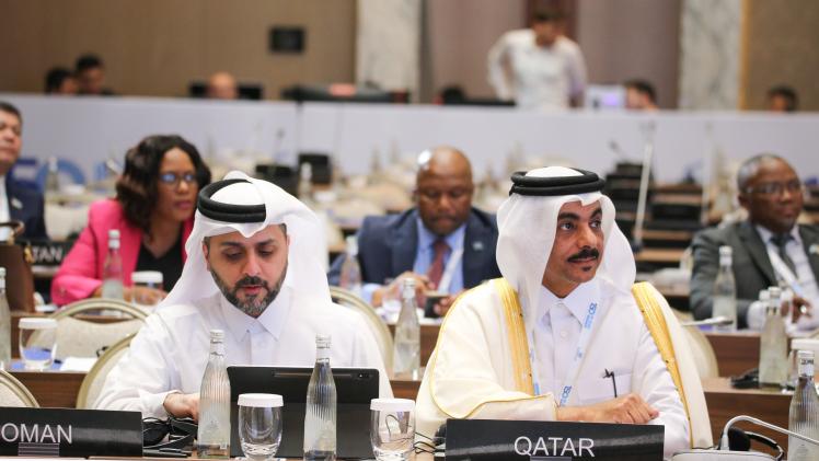 الوفد القطري المشارك في الاجتماعات