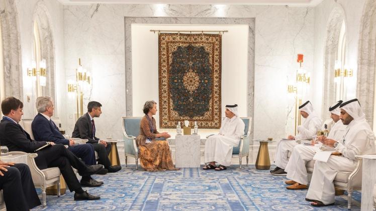 جانب من اللقاء