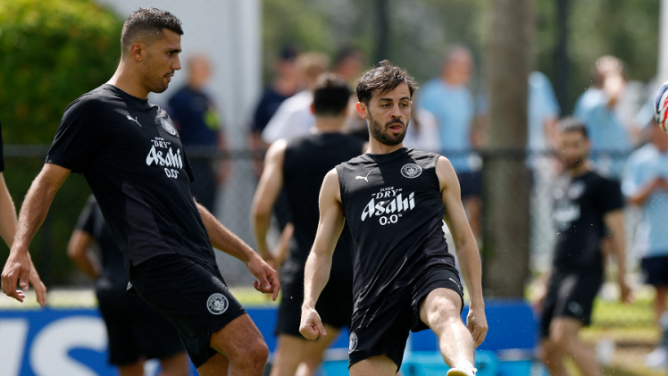 برناردو سيلفا ورودري