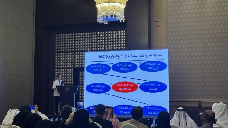 جانب من ورشة العمل