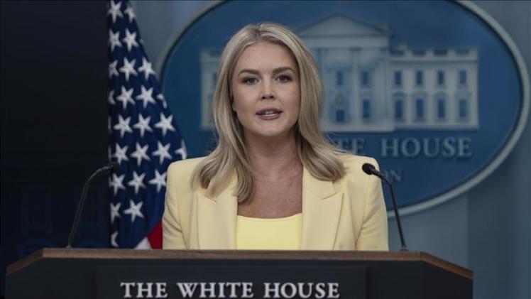 كارولين ليفيت