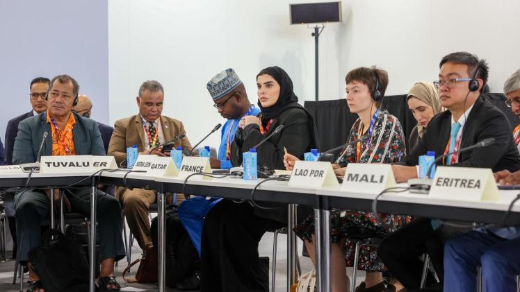 جانب من المشاركة