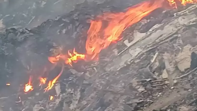 صورة أرشيفية