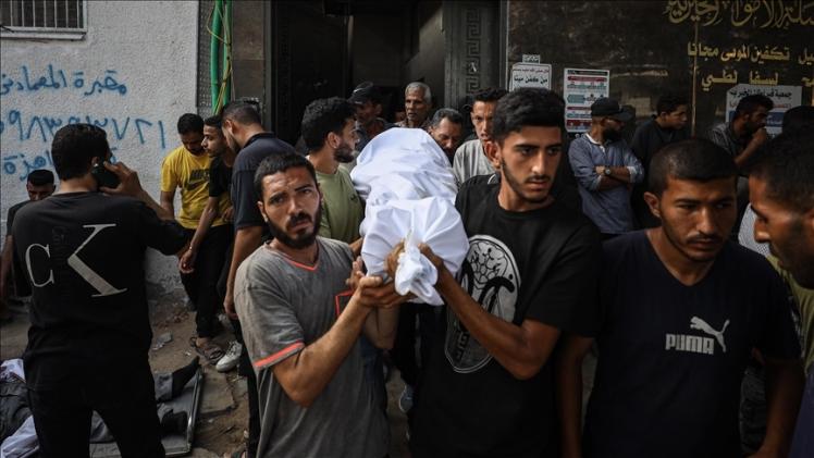 صورة أرشيفية