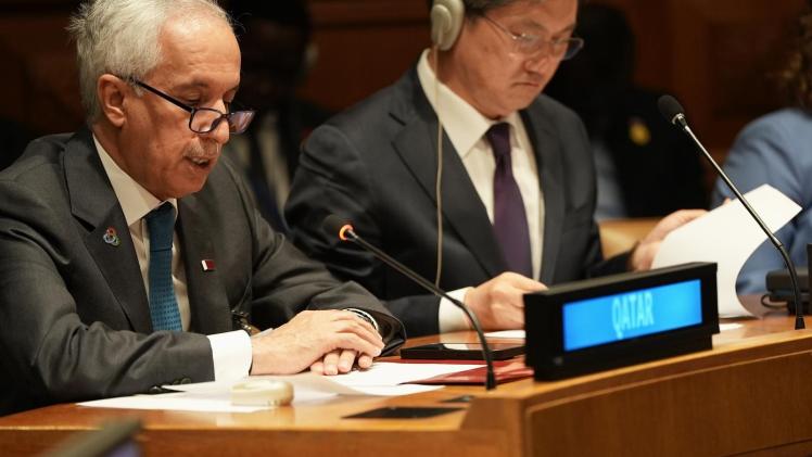 جانب من المشاركة القطرية في الاجتماع