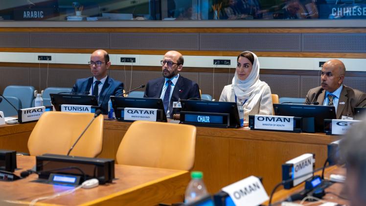 جانب من المشاركة القطرية في الاجتماع