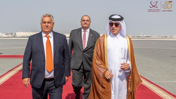 جانب من الاستقبال